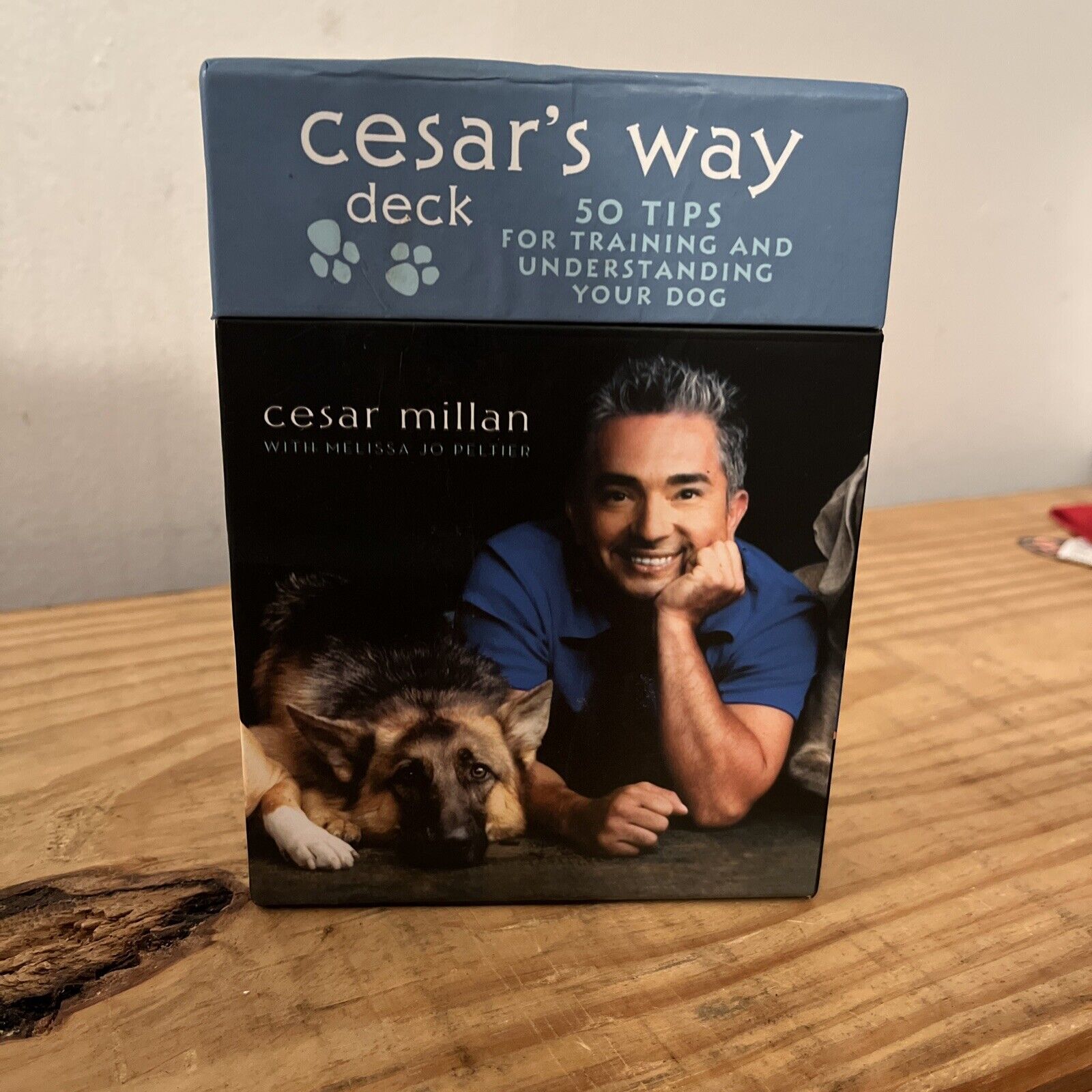 Cesars Way Deck 50 Tips For Training Understanding Your Dog Cards Potter Style