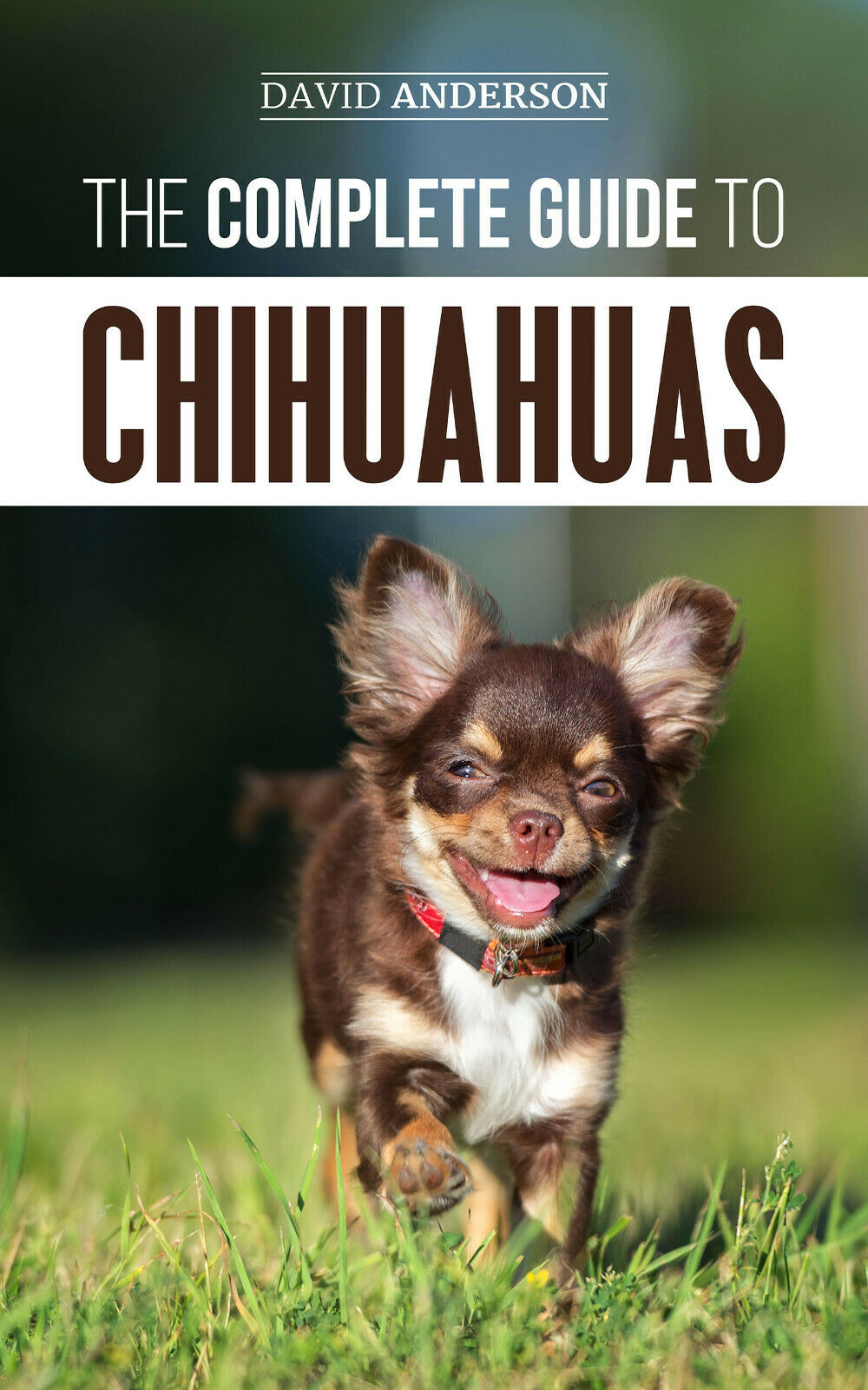 The Complete Guide To Chihuahuas: - Dog Training Guide Book - Paperback 2019